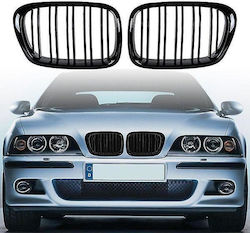 GBG Car Decorative Mask BMW Series 5 (E39)