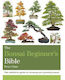 The Bonsai Beginner's Bible, The Definitive Guide to Choosing and Growing Bonsai