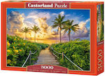 Puzzle Colorful Sunrise In Miami 2D 3000 Κομμάτια