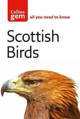 Scottish Birds Scottish Birds