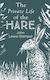 The Private Life of the Hare