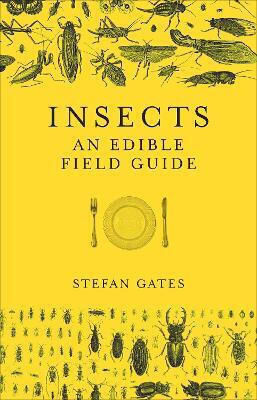Insects Insects