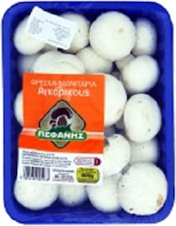 Weiße Pilze Importiert aus Pefanis (250 g)