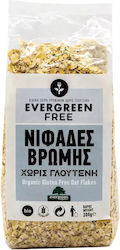 EverGreen Eat Free Whole Grain Oats Flakes Organic Gluten Free 300gr