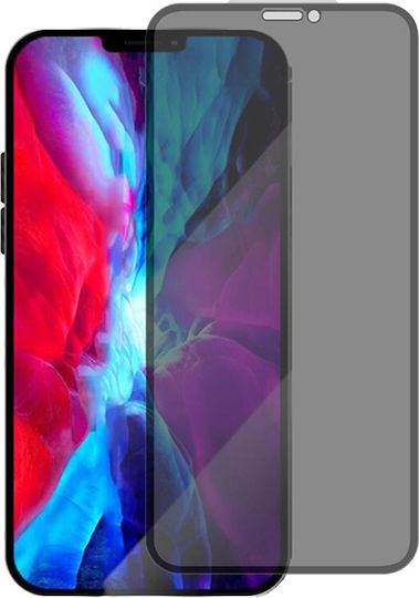 Anti-glare Privacy Full Face Tempered Glass Negru (iPhone 13 mini)
