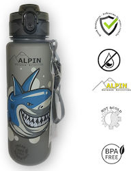 Alpin Bottle Non Spill 630ml Gray