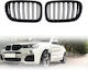 Διακοσμητική Μάσκα Αυτοκινήτου BMW X3 (F25) / M4