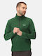Thompson Langarm-Pullover Grün