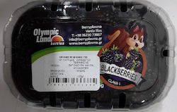 Blackberries Ελληνικά Πεφάνης (125g)