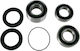 Pivot Works Wheel Bearing