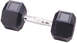 MDS Hexagon Dumbbell 1 x 25kg