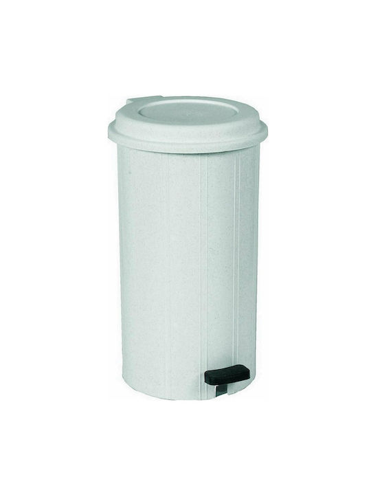 Viomes Waste Bin Waste Plastic with Pedal White 28lt 1pcs