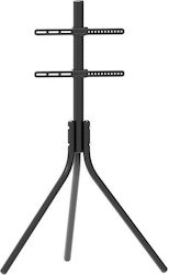 Focus Mount Tt144 240061 Βάση Τηλεόρασης Δαπέδου έως 65"