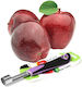 Stainless Steel Apple Peeler