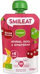 Smileat 100gr pentru 6+ luni 1buc