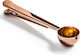 Gadget Master Serveware Inox Brown