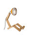 Piffany Decorative Lighting Fixture LED 26cm