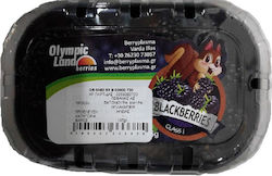 Blackberries Εισαγωγής Πεφάνης (125g)