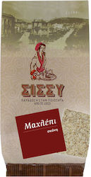 Sissynuts Mahleb in Pulverform 100gr MPXQ37-1-1