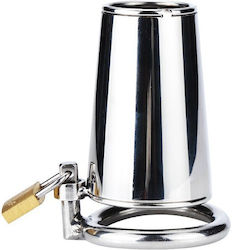 Fukr Penis Cage in Silver Color
