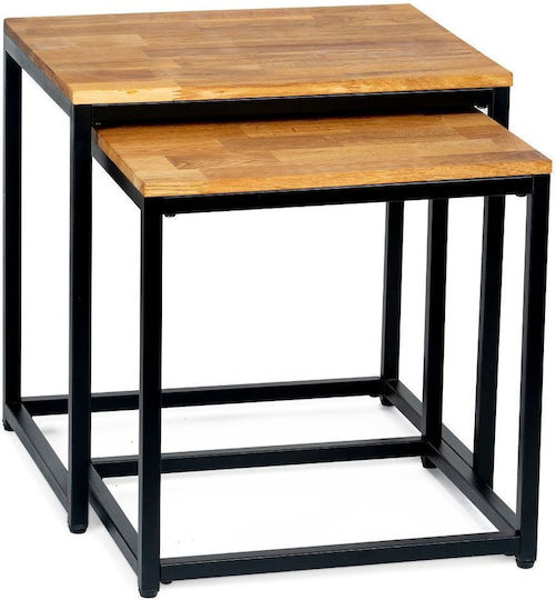 Set Zigon Metalic Negru Rectangular 2 Buc M50xL40xH50cm