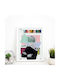 Walls Αndy Warhol Ai Weiwei Frame Wooden 60x90cm