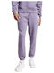 Adidas M All Szn Pt Men's Sweatpants with Rubber Purple