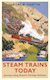 Steam Trains Today: Journeys Along Britain's Heritage Railways Andrew Martin Books Ltd