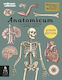 Big Picture Press Anatomicum Junior Jennifer Z Paxton