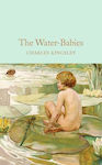 The Water-babies: A Fairy Tale For A Land-baby Charles Kingsley 2016