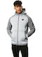 Alpinestars Men's Sweatshirt with Hood Gray