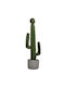 Plantă Artificială în Ghiveci Mic Cactus Green 13cm Inart