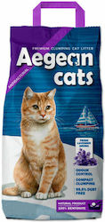 Aegean Cats Μπετονίτης Aegean Cats Μπετονίτης