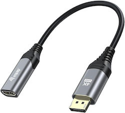 Equip 133445 DP Male - HDMI female 0.15m