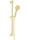 Ferro Shower Column without Mixer Gold