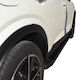 Nissan 4x4 Car Side Steps for Nissan Qashqai