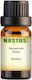 Nostos Pure Αρωματικό Έλαιο Βανίλιας 50ml