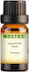 Nostos Pure Aromatic Oil Coconut 50ml