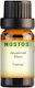 Nostos Pure Aromatic Oil Jasmine 50ml