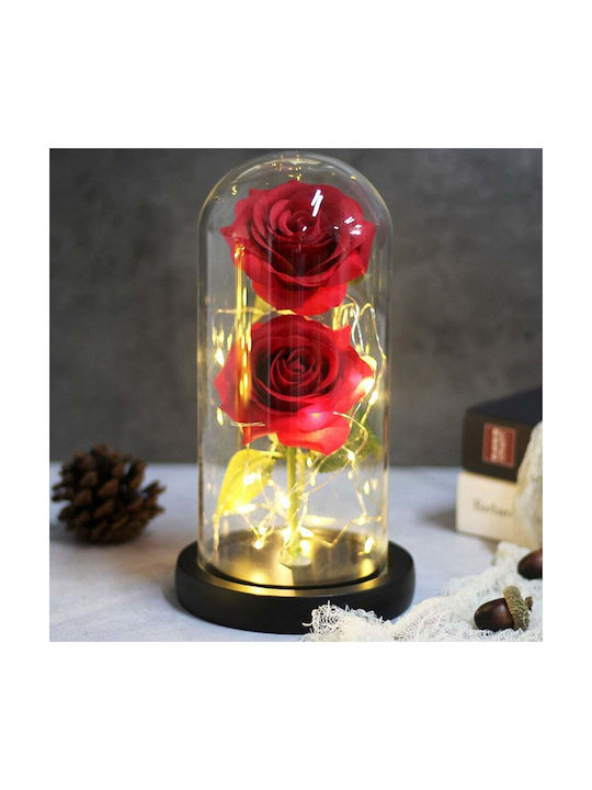 Ewige Rose Red 19cm mit LED