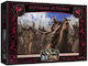 Game Expansion A Song Of Ice And Fire - Targaryen Dothraki Veterans 14+ Years Old (EN) Cool Mini Or Not