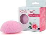 Mitomo Konjac Rose Cleansing Sponge