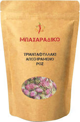 ΜΠΑΧΑΡΑΔΙΚΟ Rose 500gr