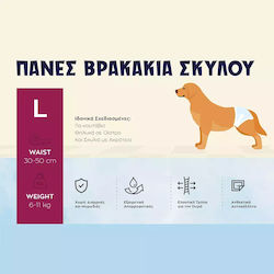 Animal 2309058
