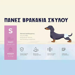 Animal Βρακάκι Σκύλου 20τμχ