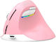 Delux M618Mini Wireless Ergonomic Vertical Mouse Pink