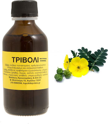 To Poikilopoleio Clover Tincture 100ml