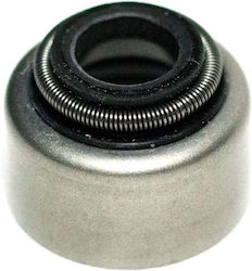 Centauro Valves Seal