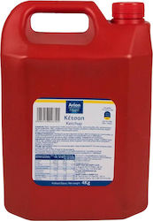 Arion Food Ketchup 4000gr Arion Food Ketchup 4000gr