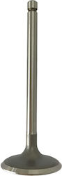 Motorcycle Intake Valve Yamaha XT 250 158-JP120/1